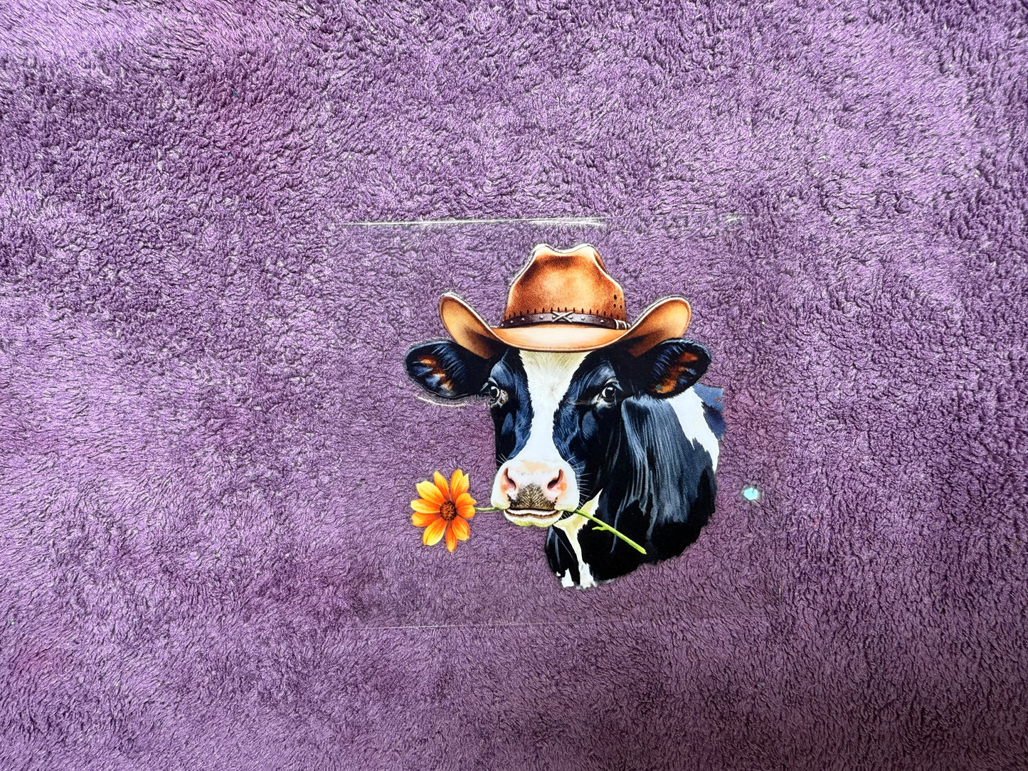 Farmer cow