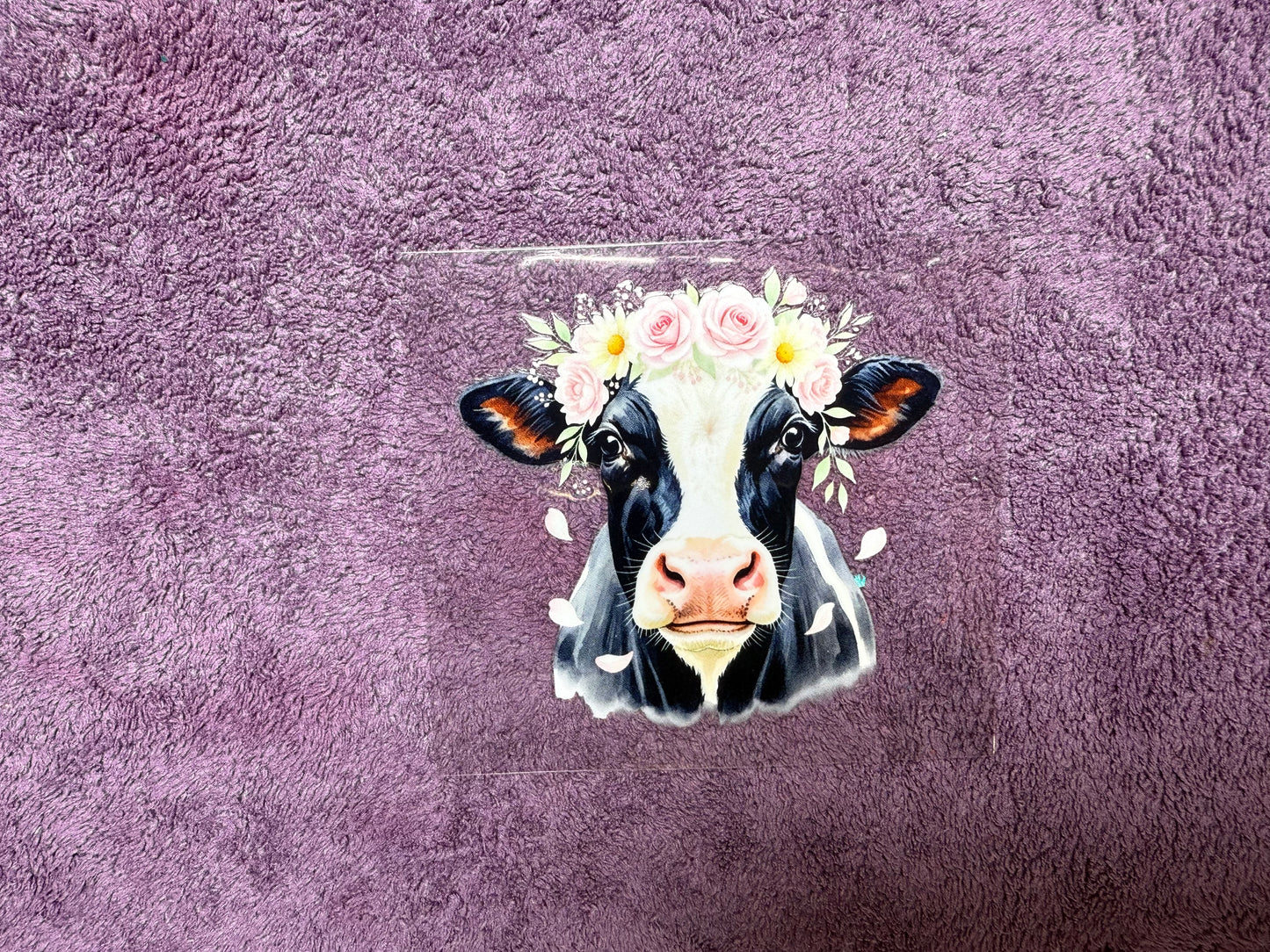 Pink flower crown cow