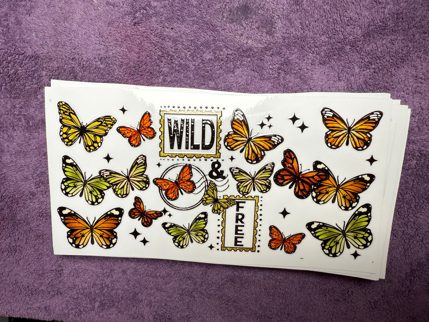 Wild & free butterflies