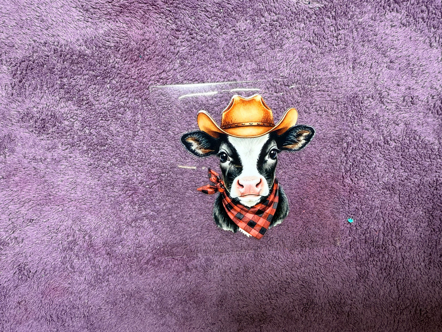 Baby cow