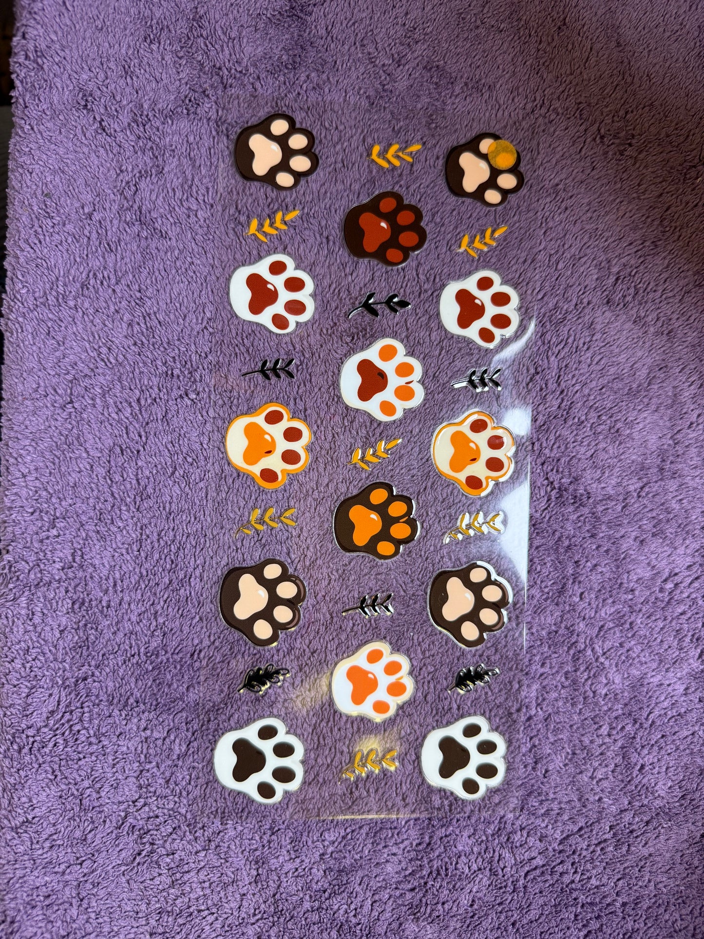 Cat paws
