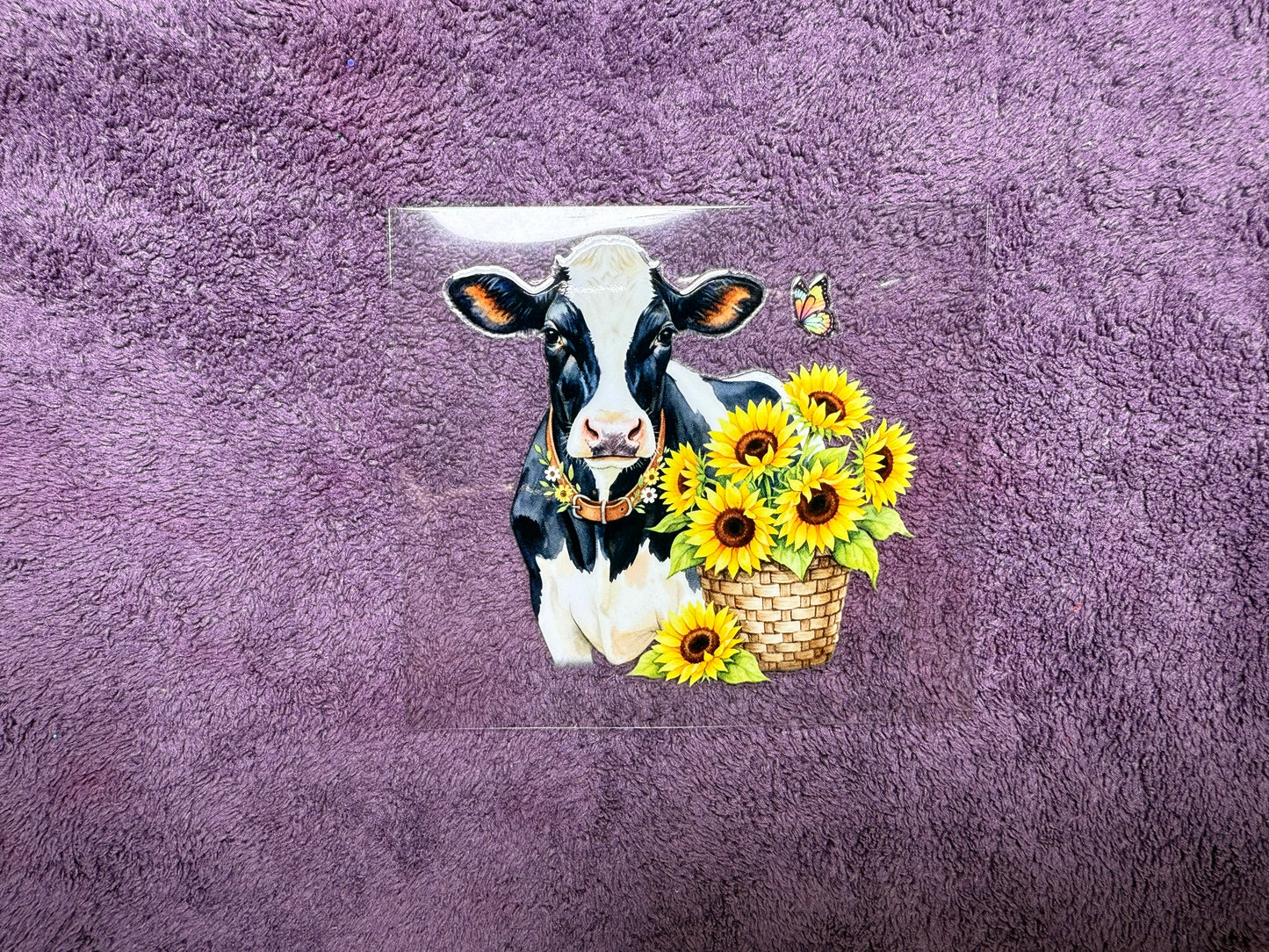 Sunflowers cow