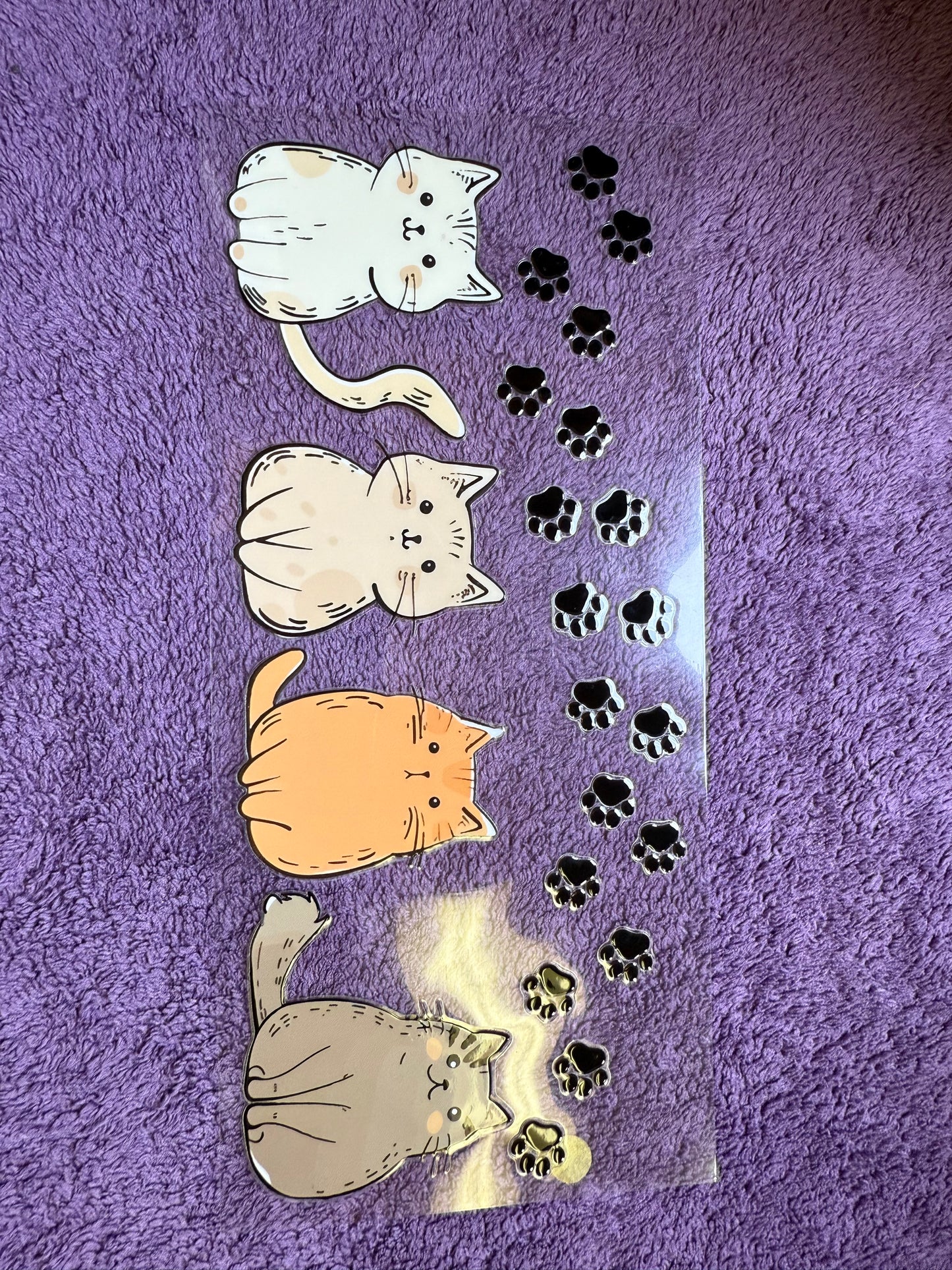 Multi cats
