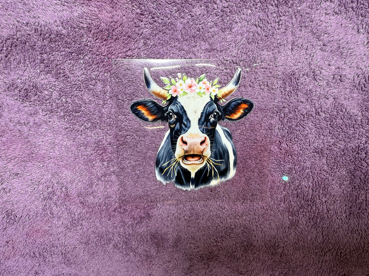 Flower crown cow