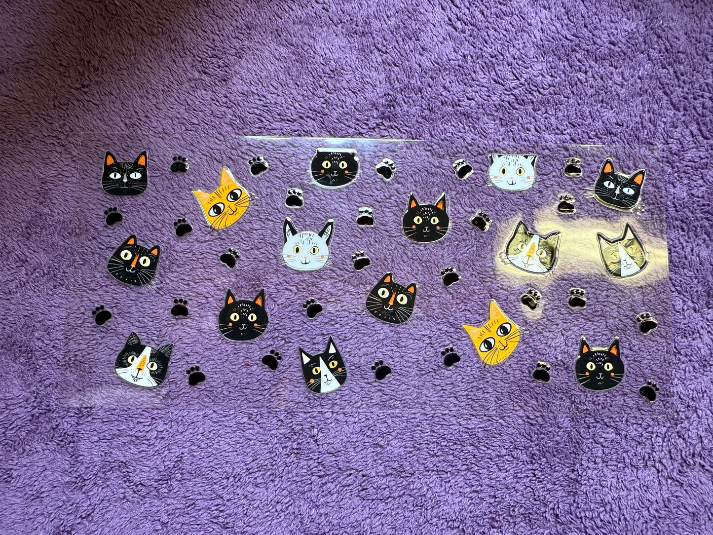 Cat heads