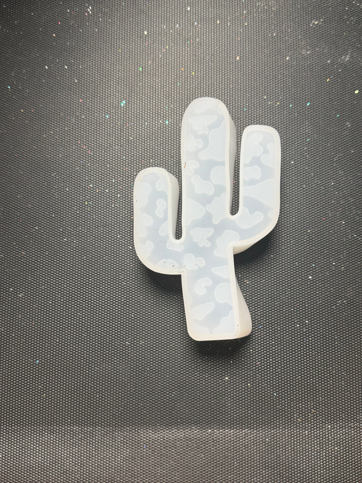 Cow cactus - freshie