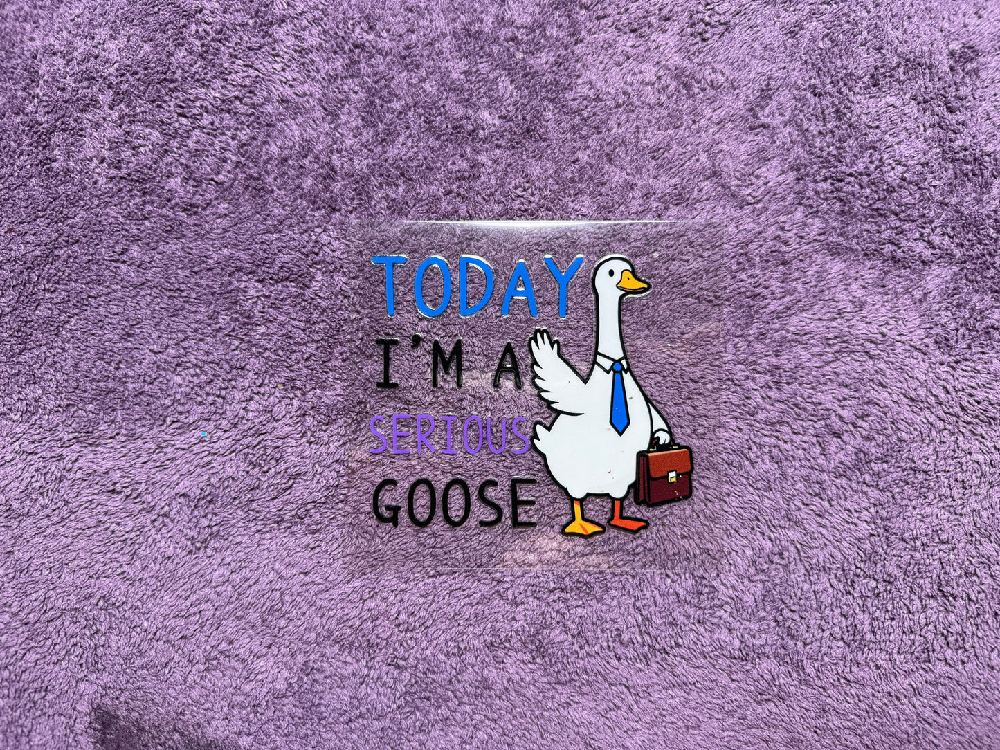Today I’m a serious goose