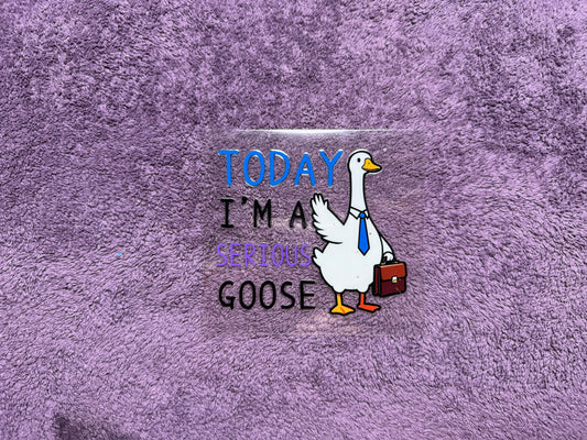 Today I’m a serious goose