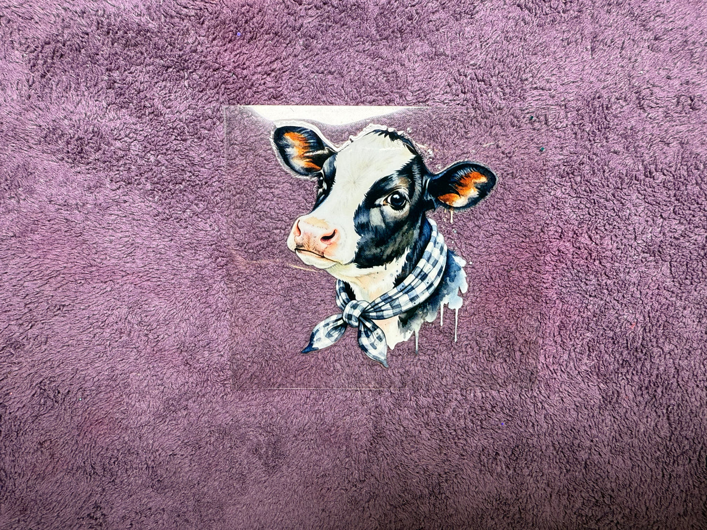 Scarf baby cow