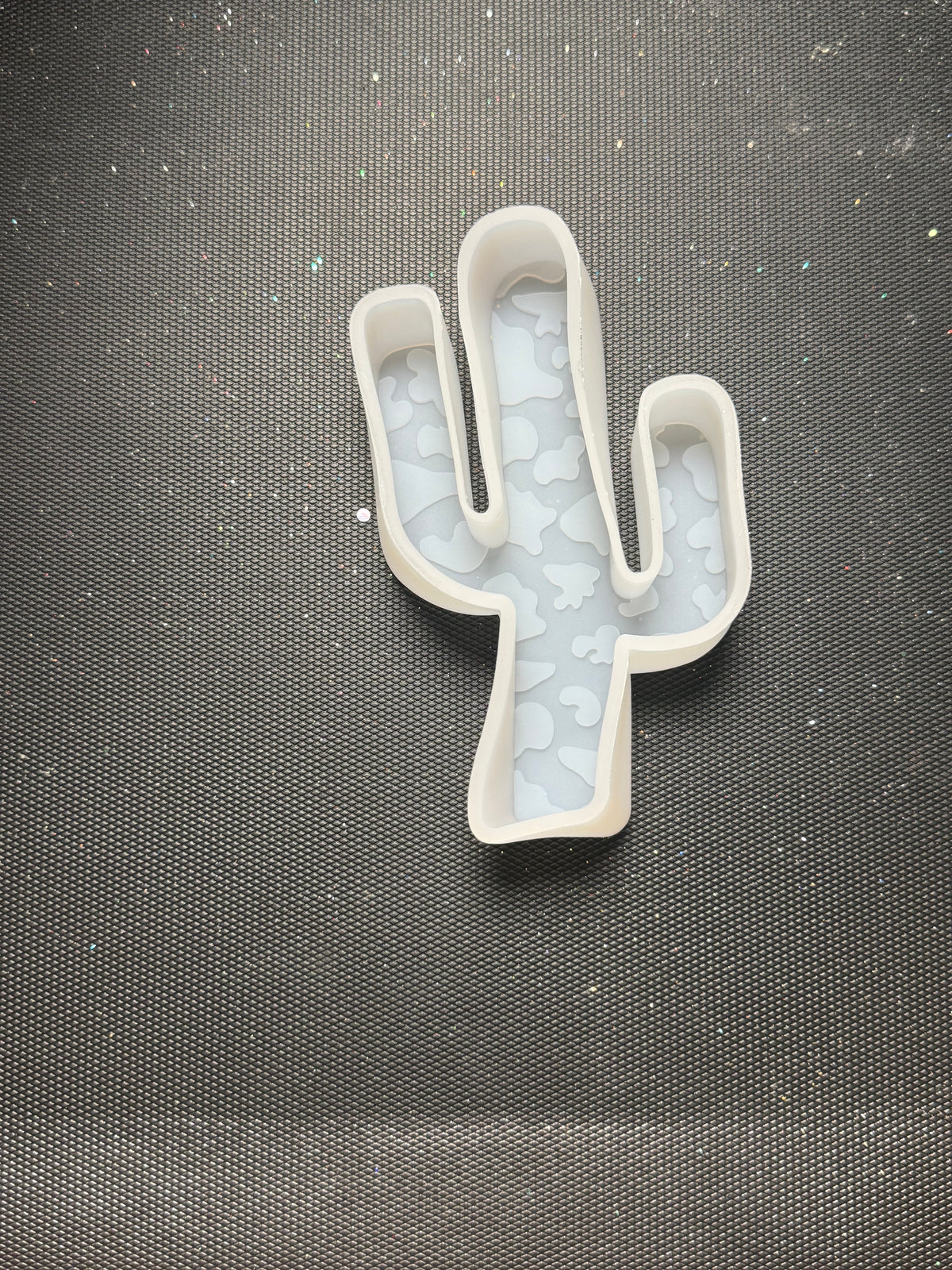 Cow cactus - freshie