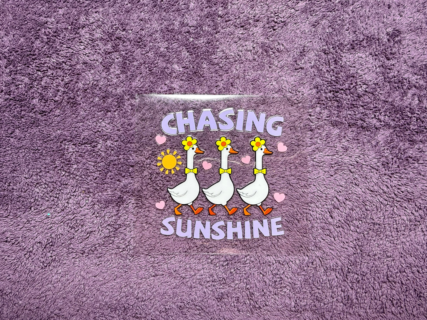 Chasing Sunshine goose