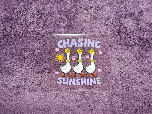 Chasing Sunshine goose