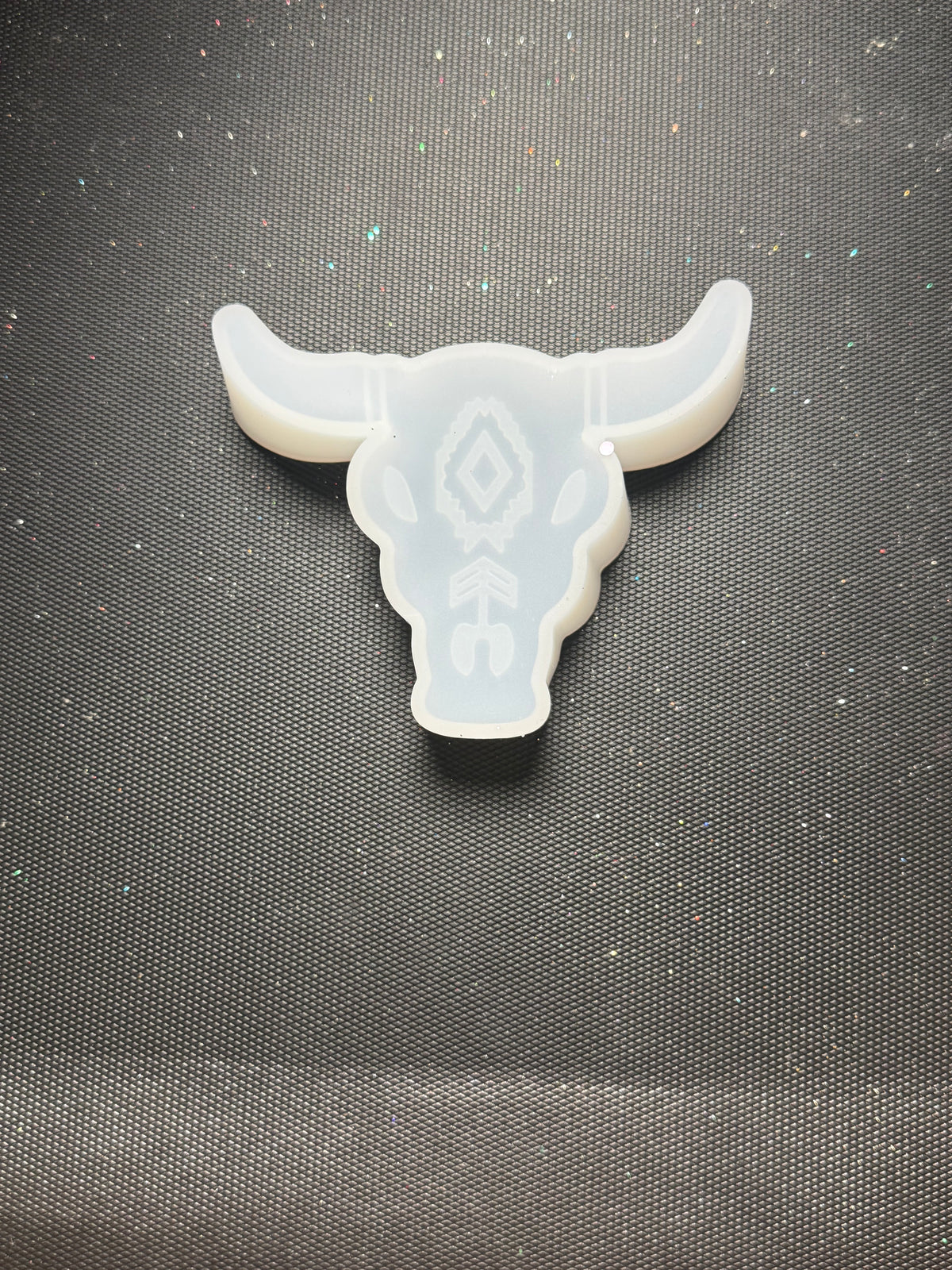 Western cattle head - freshie