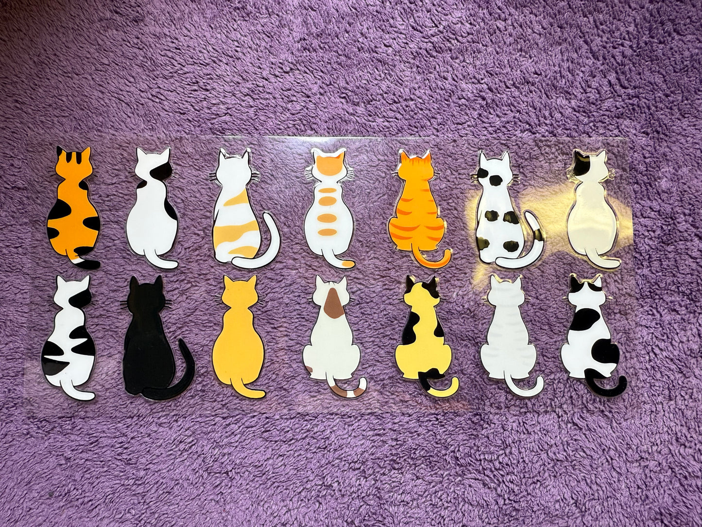Multi Cats