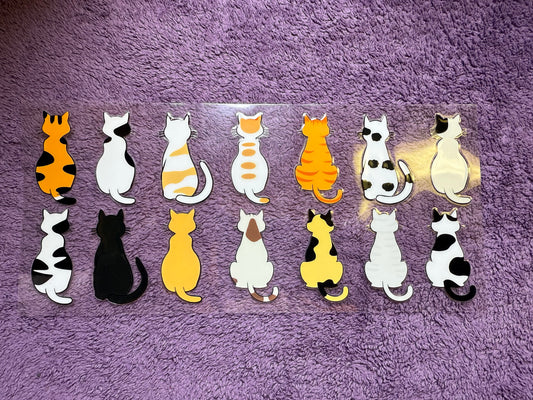 Multi Cats