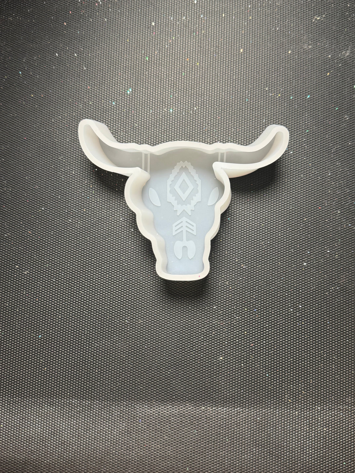 Western cattle head - freshie