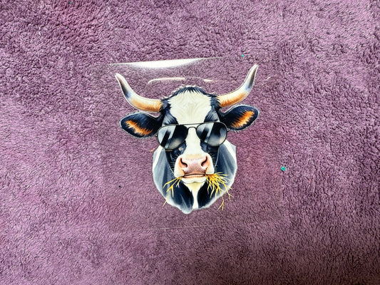 Sunglasses cow