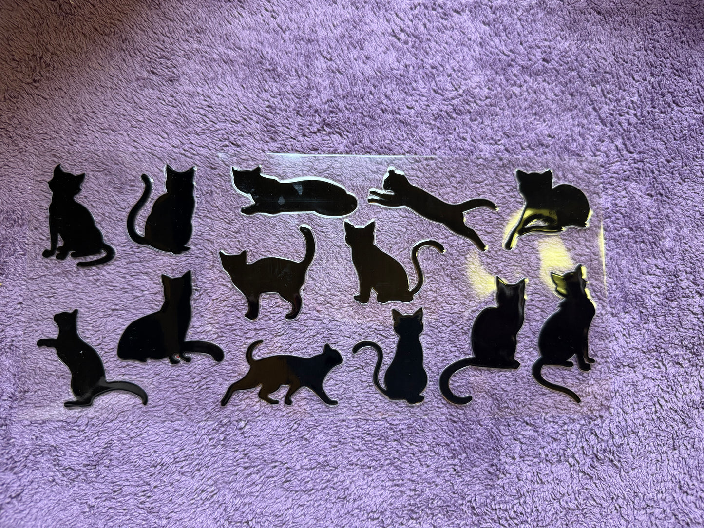 Black cats