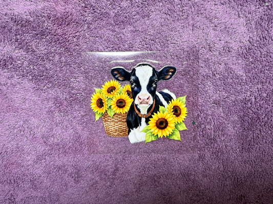 Sunflower baby cow