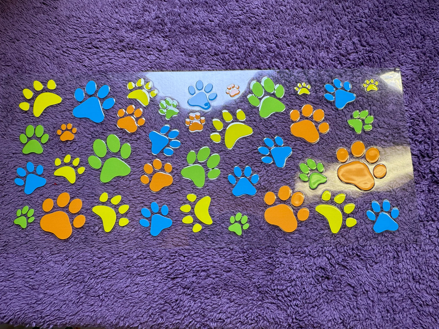 Dog paws