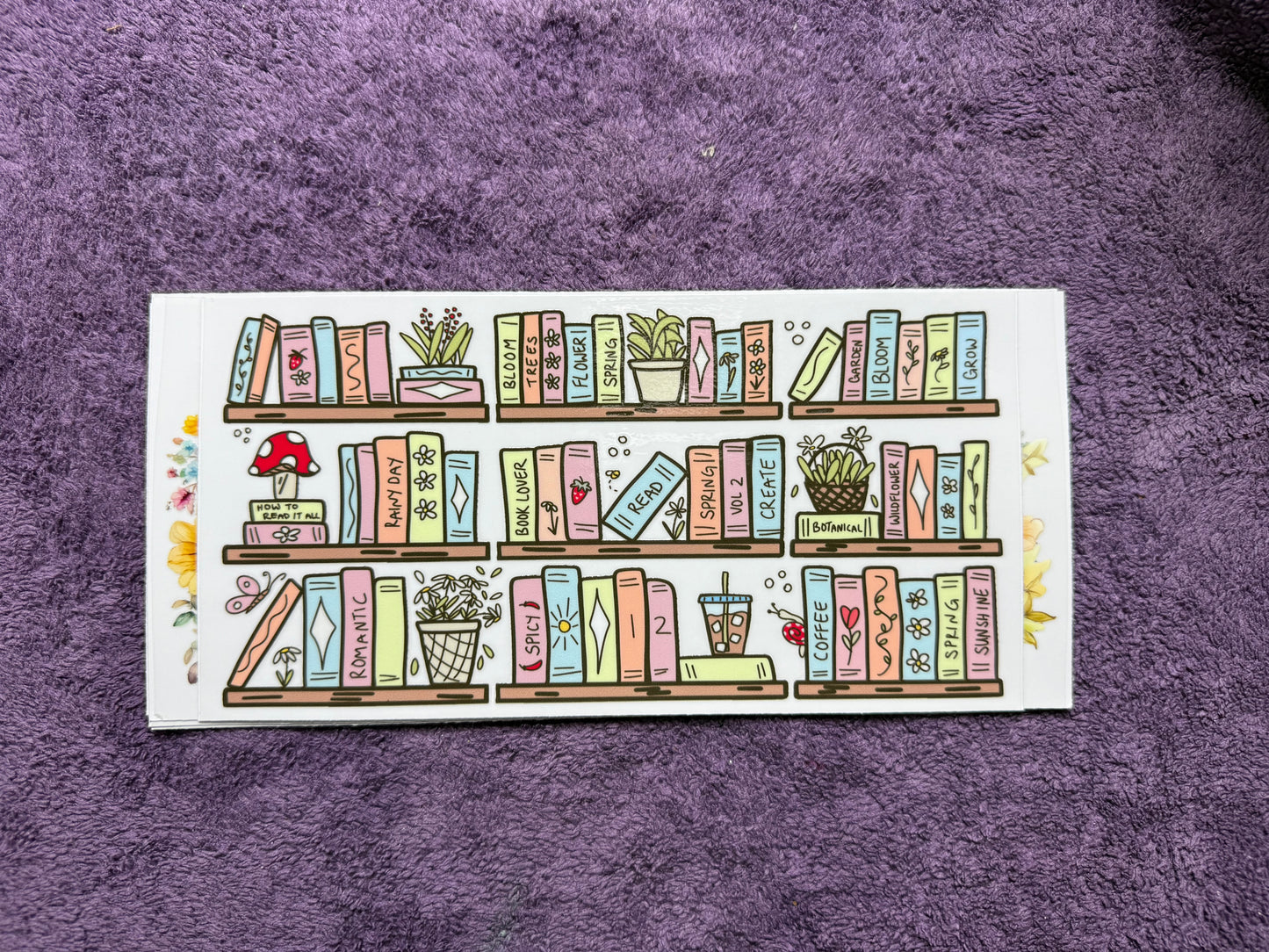 Books shelves