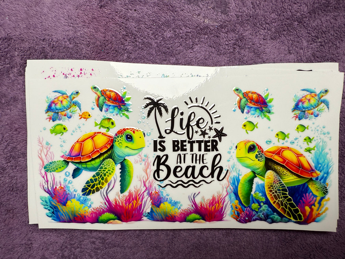 Life is better at the beach