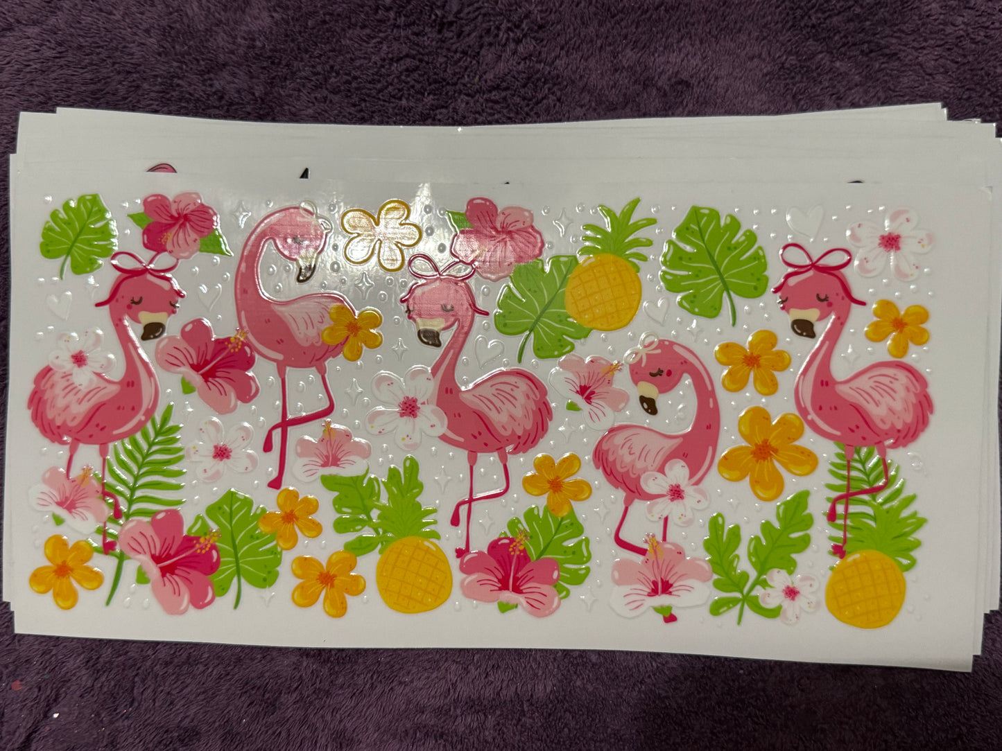 Flamingos